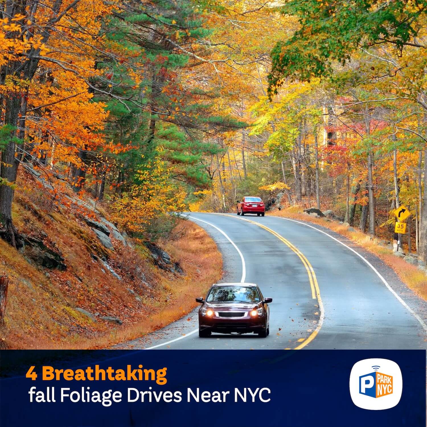 4 Breathtaking Fall Foliage Drives Near NYC Park NYC